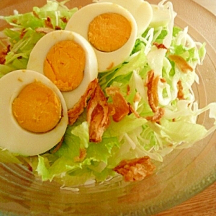 トッピングゆで卵で簡単サラダ